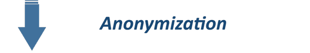 Anonymization: 
